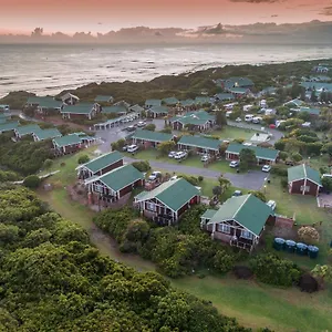 *** Resort Pine South Africa